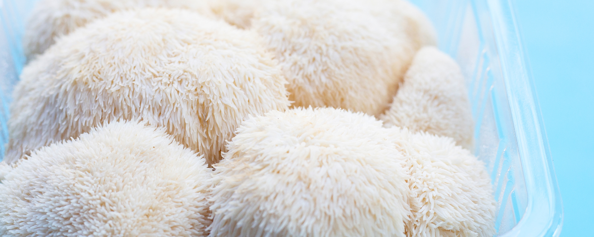 Best Lion's Mane Supplement