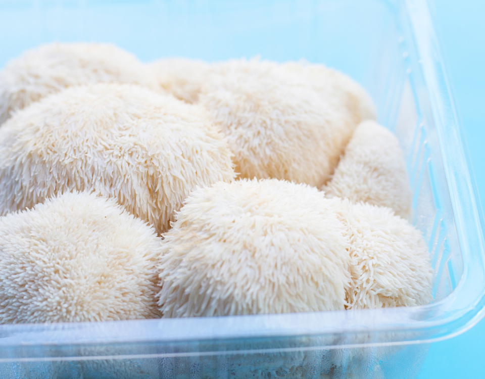 Best Lion's Mane Supplement