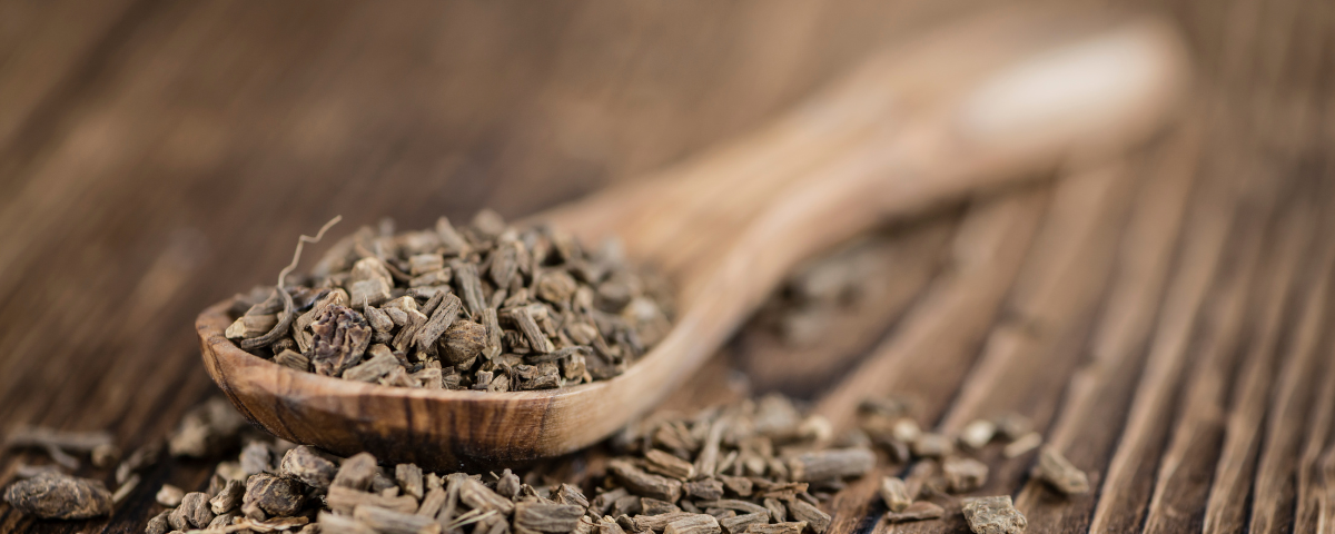 valerian root for anxiety