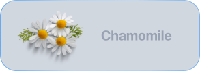 Chamomile-flat