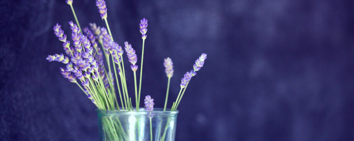 lavender oil
