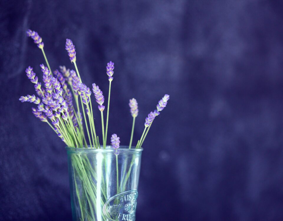 lavender oil